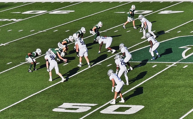 澳超战报：维迪奇救主，奥克兰FC主场1-1布里斯班狮吼