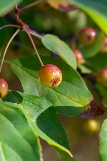 安帅：世界杯名单基本已定17-18人；世界杯集训只会带26人